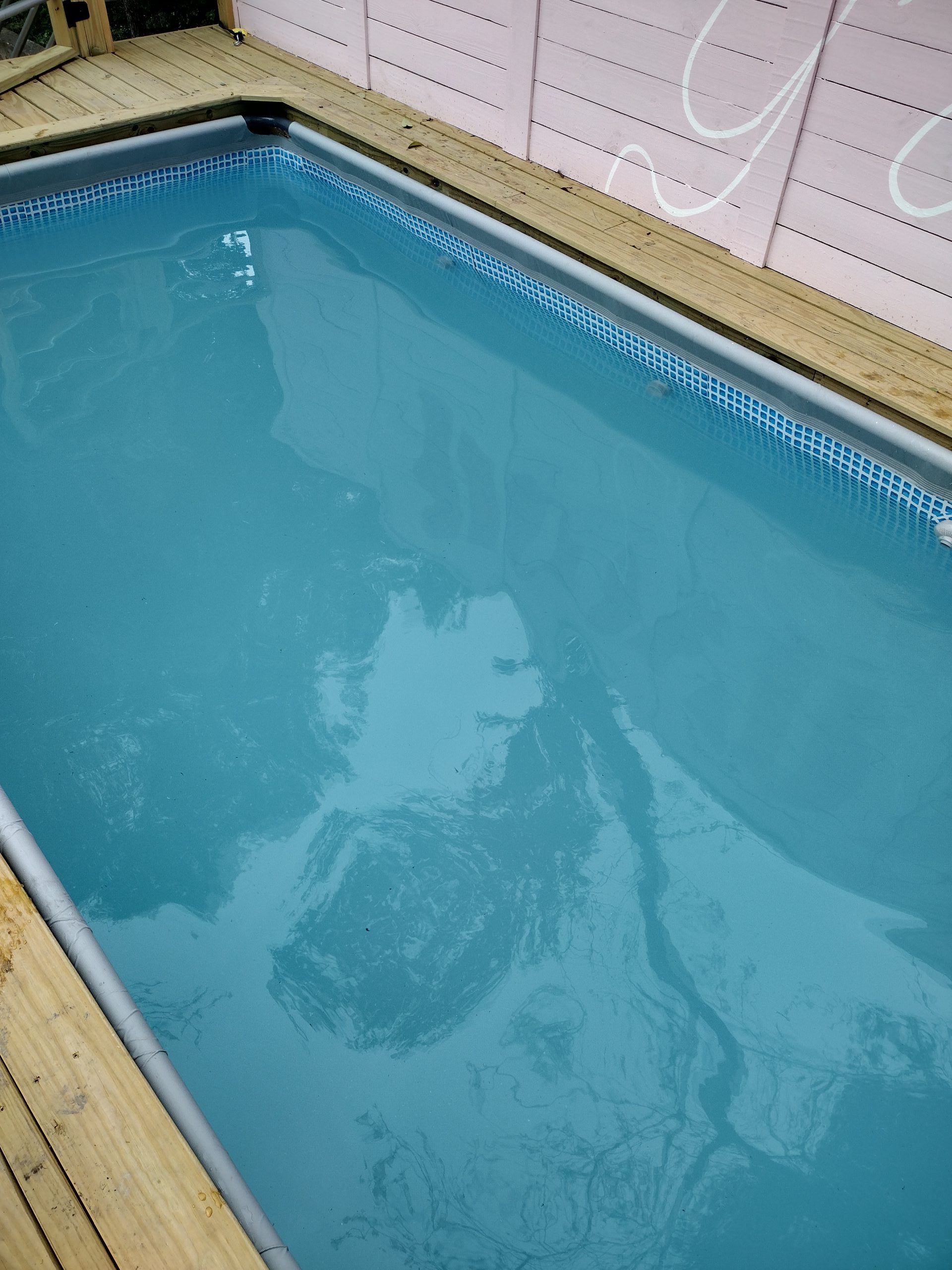 IMG_20240401_091558085_HDR